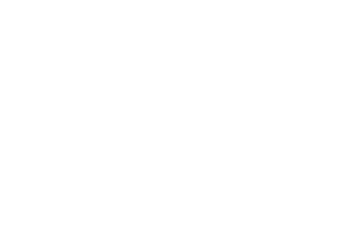 michelin banner